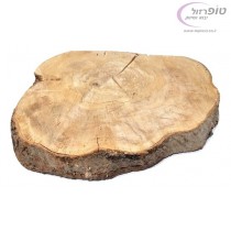 פרוסת גזע עץ זית משובח לעבודות אומנות  עץ ודקורציה