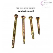 מארז 100 יח בורג ראש טורקס כוכב , קצה פרפר קודח 