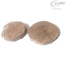 פרוסת עץ אלון עגולה בקוטר כ 15 - 20 סמ ובעובי כ 2 - 3 סמ