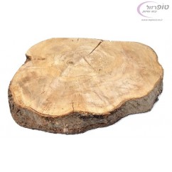 פרוסת גזע עץ זית משובח לעבודות אומנות  עץ ודקורציה