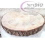 פרוסת גזע עץ אורן ירושלמי עובי 3 עד 6 סמ קוטר 40-50 ס"מ