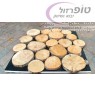 פרוסות עץ אורן / ברוש טבעי קוטר 8-15 ס