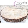 פרוסת גזע עץ אורן ירושלמי עובי 6 סמ קוטר 50 ס