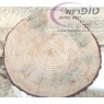 פרוסת גזע עץ אורן ירושלמי עובי 6 סמ קוטר 50 ס